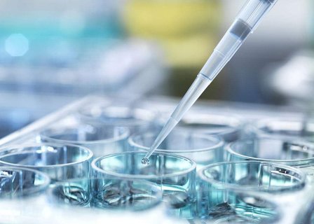 代怀助孕尿白细胞偏高，原因、影响与应对策略